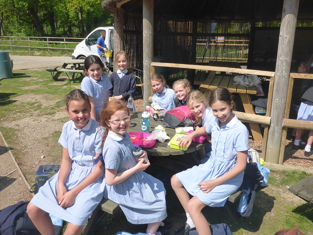 Year 5 Trip to Port Lympne 2017