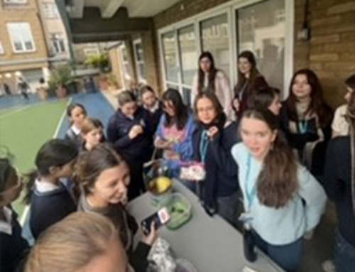 Young Enterprise Playground Sale