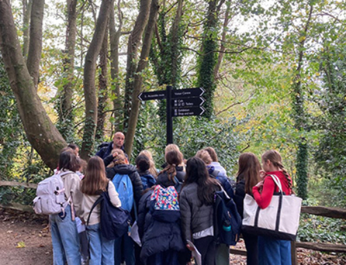 Year 7 Historians Visit Battle Abbey