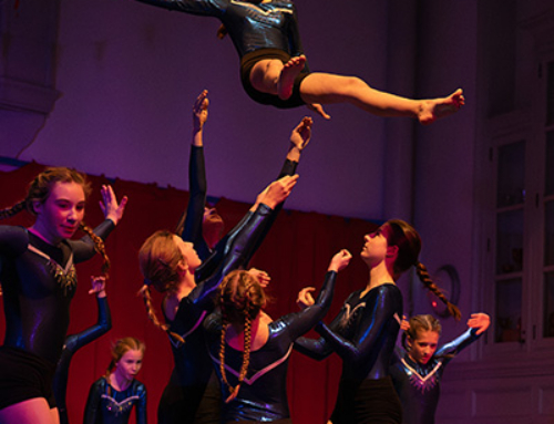 Gym, Dance & Ballet Show