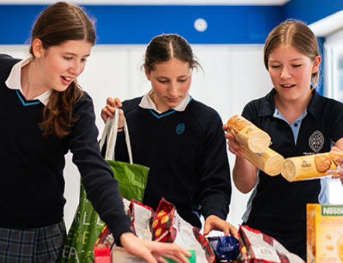 Year 9 Harvest Festival Donation Sorting