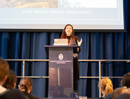 Creative Perspectives on Climate Change Workshop with Eco-Poet Helen Moore