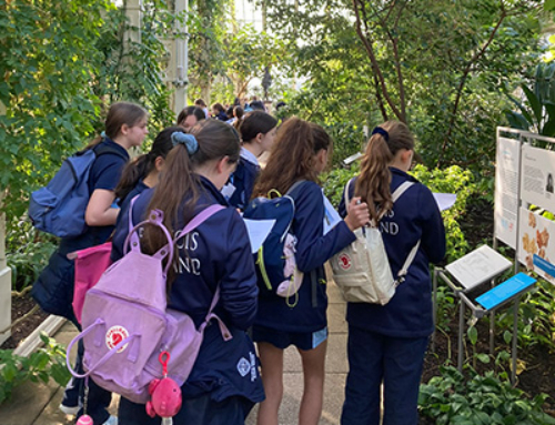 Year 7 Geography Trip to Kew Gardens