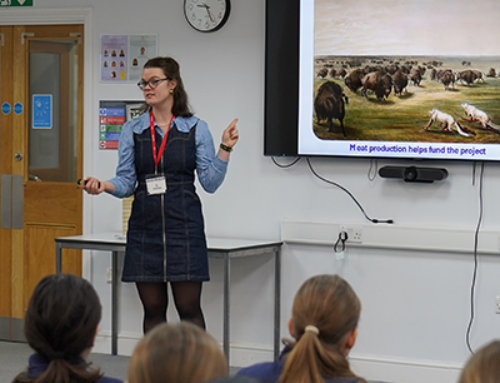 Year 9 Creative Perspectives Talk by Molly Biddell from Knepp Wildland