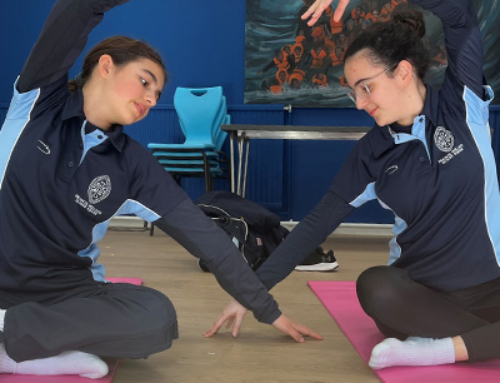 Pilates Clubs Highlights