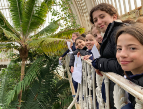 Year 7 Trip to Kew Gardens