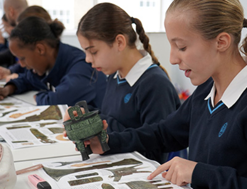 Year 7 Archaeological Mission